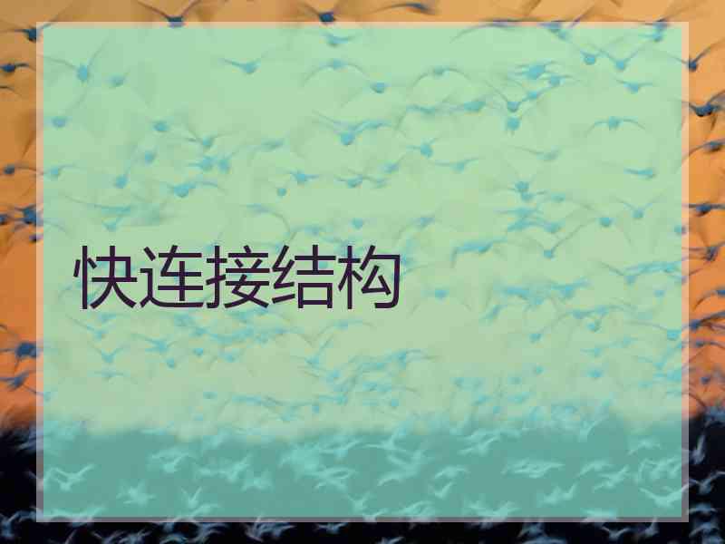快连接结构