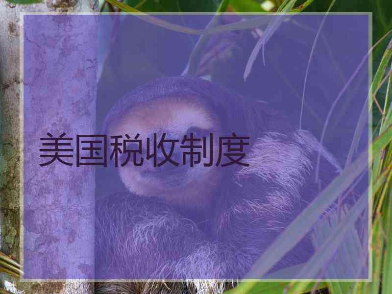 美国税收制度