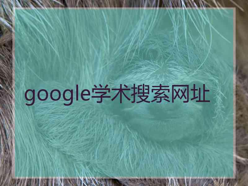 google学术搜索网址