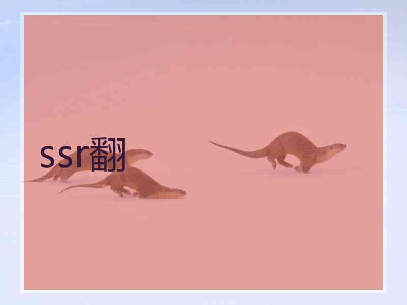 ssr翻