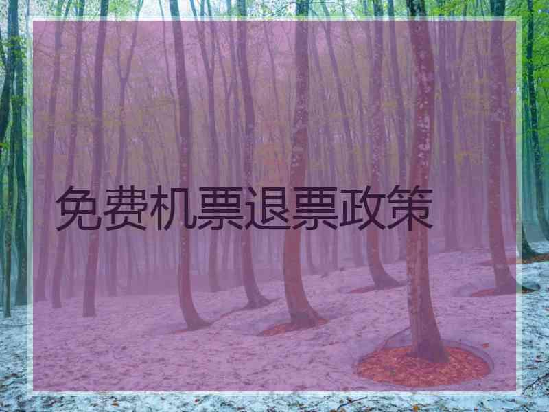 免费机票退票政策