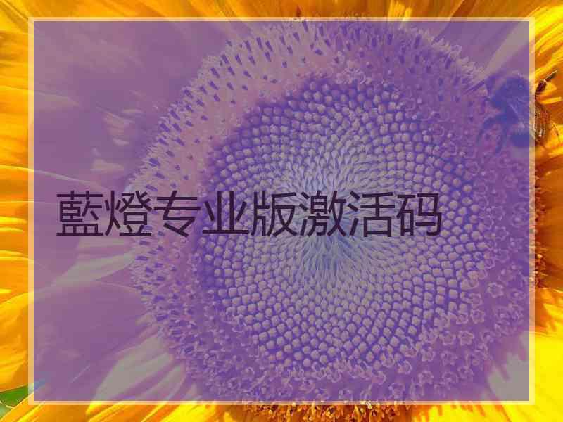 藍燈专业版激活码