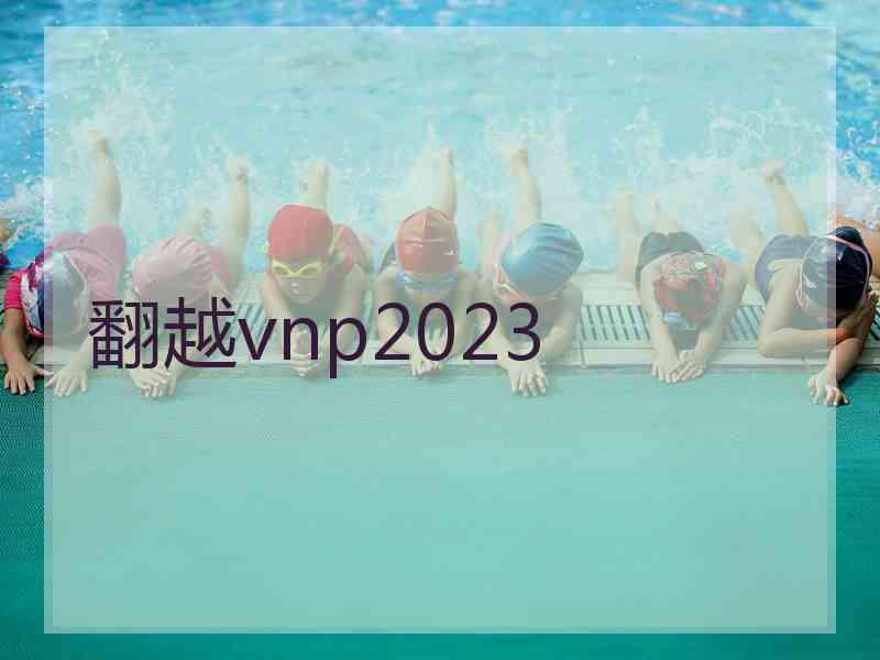 翻越vnp2023