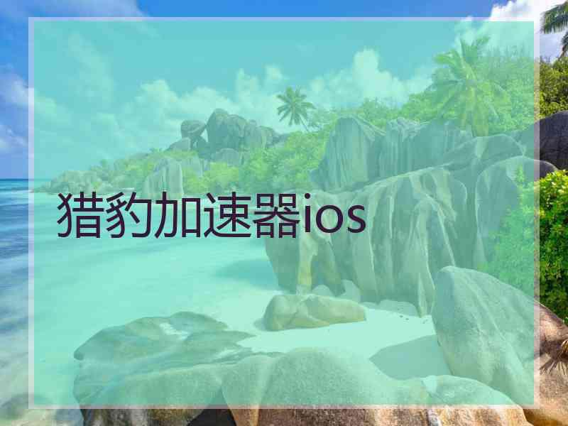 猎豹加速器ios