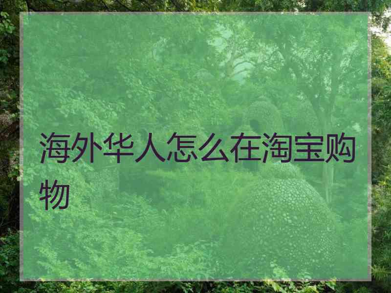 海外华人怎么在淘宝购物
