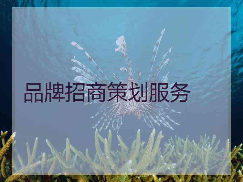 品牌招商策划服务