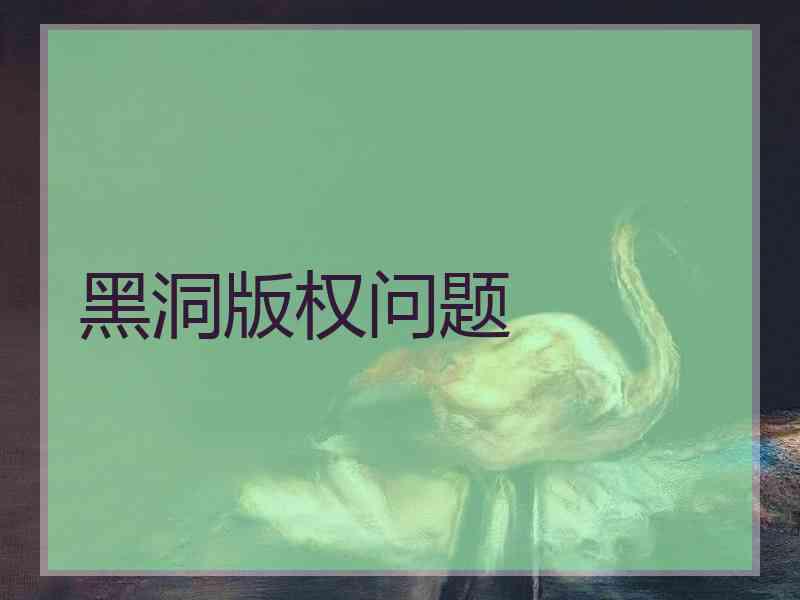 黑洞版权问题