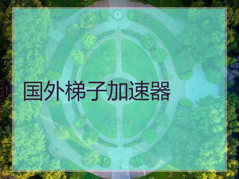 国外梯子加速器
